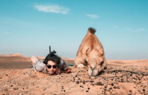 Scopri di più sull'articolo Resting in the Sands: Man and Camel under desert skies